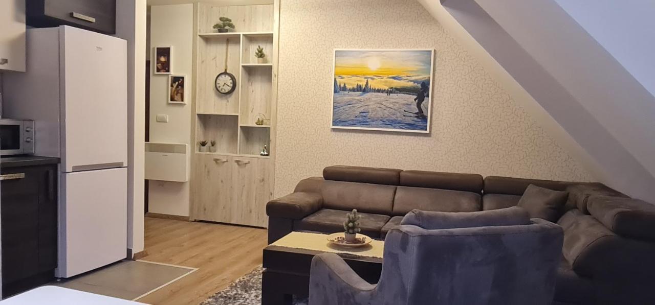 Gabi Apartments Kopaonik - Kraljevi Cardaci Buitenkant foto